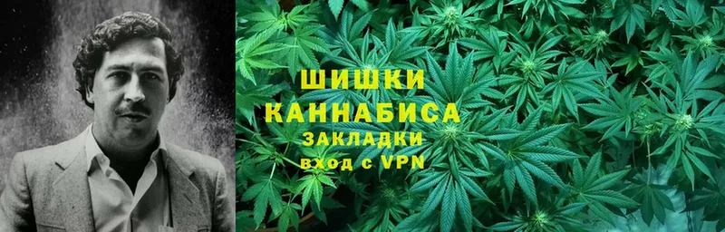 Канабис White Widow  mega ссылка  Балашов 